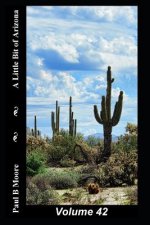 A Little Bit of Arizona: Volume 42