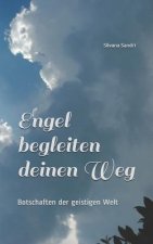Engel begleiten deinen Weg: Botschaften der geistigen Welt