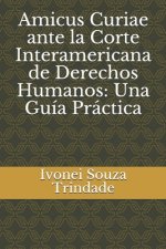 Amicus Curiae ante la Corte Interamericana de Derechos Humanos: Una Guía Práctica