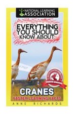 Everything You Should Know About: Cranes