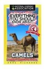 Everything You Should Know About: Camels