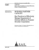 Building partner capacity: key practices to effectively manage Department of Defense efforts to promote security cooperation: testimony before th
