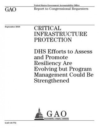 Critical infrastructure protection: DHS efforts to assess and promote resiliency are evolving but program management could be strengthened: report to