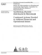 National Flood Insurance Program~: ~continued actions needed to address financial and operational issues: testimony before the Subcommittee on Housing