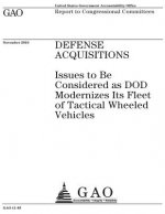 Defense acquisitions: issues to be considered as DOD modernizes its fleet of tactical wheeled vehicles: report to congressional committees.