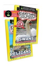 Everything You Should Know About: Swans and Pelicans