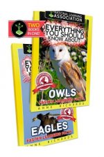Everything You Should Know About: Owls and Eagles