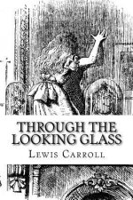 Through the Looking Glass