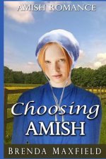 Amish Romance: Choosing Amish