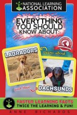 Everything You Should Know About: Labradors and Dachshunds
