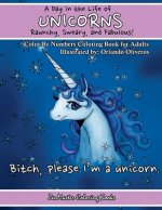 Day In The Life of Unicorns