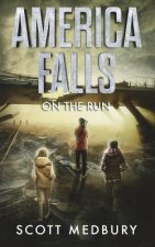 America Falls
