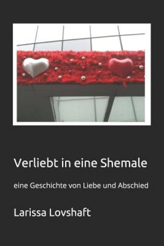 Verliebt in eine Shemale: eine Geschichte von Liebe und Abschied