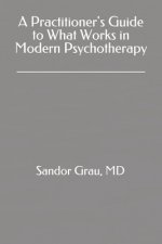 A practitioner's guide to what works in modern psychotherapy.