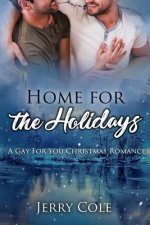 Home for the Holidays: A Gay For You Christmas Romance