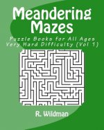 Meandering Mazes: Puzzle Books for All Ages - Very Hard Difficulty