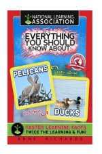 Everything You Should Know About: Pelicans and Ducks