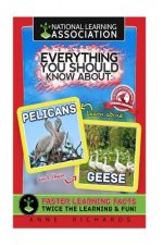 Everything You Should Know About: Pelicans and Geese