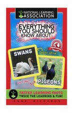 Everything You Should Know About: Swans and Pigeons