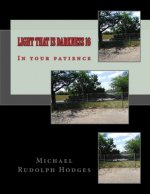 Light that is darkness 16: In your patience