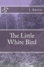The Little White Bird