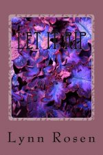 Let It Rip: Another Rocket Man & Poetry Lady mystery