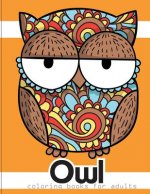 Owl coloring books for adults: An Owl Coloring Book for Adults and Kids vol.5