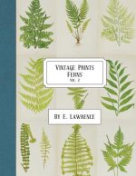 Vintage Prints: Ferns: Vol. 2