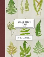 Vintage Prints: Ferns: Vol. 3