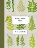 Vintage Prints: Ferns: Vol. 4