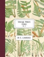 Vintage Prints: Ferns: Vol. 5