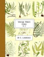Vintage Prints: Ferns: Vol. 6