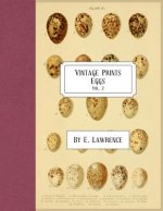 Vintage Prints: Eggs: Vol. 2