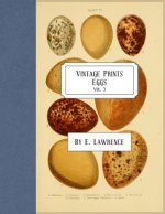 Vintage Prints: Eggs: Vol. 3