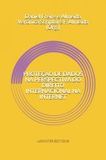 Proteç?o de Dados Na Perspectiva Do Direito Internacional Na Internet