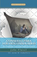 Consuelo para los Desconsolados: El consuelo de Cristo a una madre en angustia