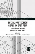Social Protection Goals in East Asia