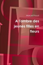 l'ombre des jeunes filles en fleurs