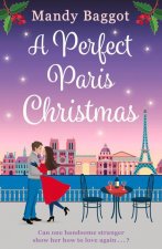 Perfect Paris Christmas