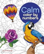 Calm Color by Numbers