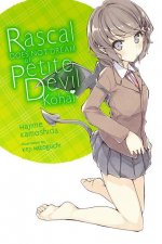 Rascal Does Not Dream of Petite Devil Kouhai (light novel)