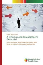 Dinamica da Aprendizagem Gerencial