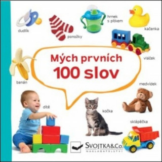 Mých prvních 100 slov