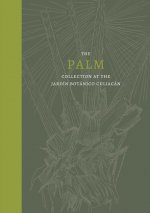 Palm