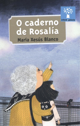 O caderno de Rosalía