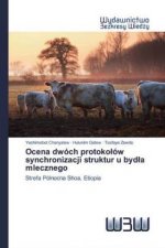 Ocena dwóch protoko?ów synchronizacji struktur u byd?a mlecznego
