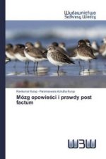Mózg opowie?ci i prawdy post factum