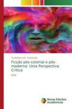 Ficç?o pós-colonial e pós-moderna: Uma Perspectiva Crítica