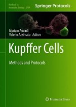 Kupffer Cells