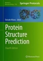 Protein Structure Prediction